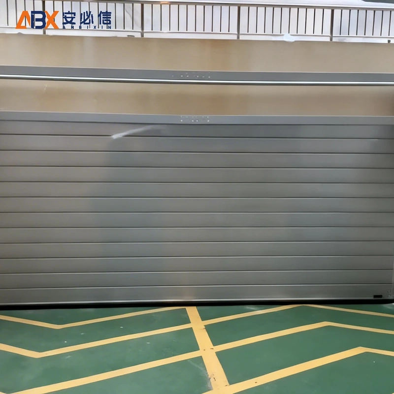 衡水雷达高速门